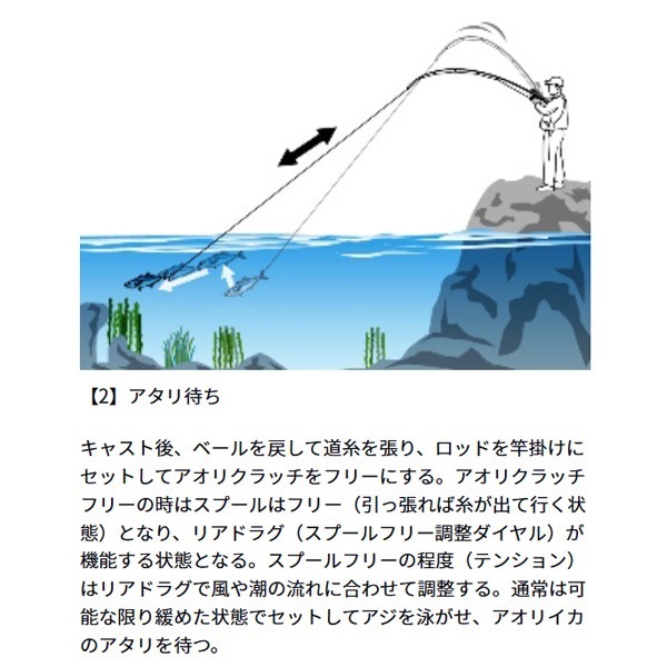アオリトライアル BR